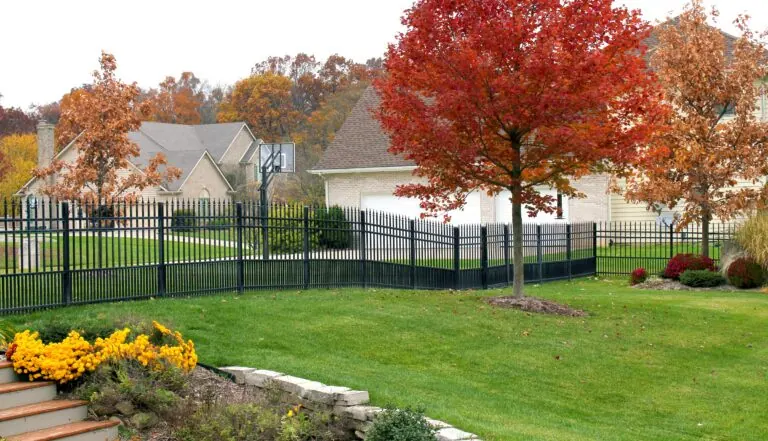Beautiful backyard with a black aluminum fence separating property lines.