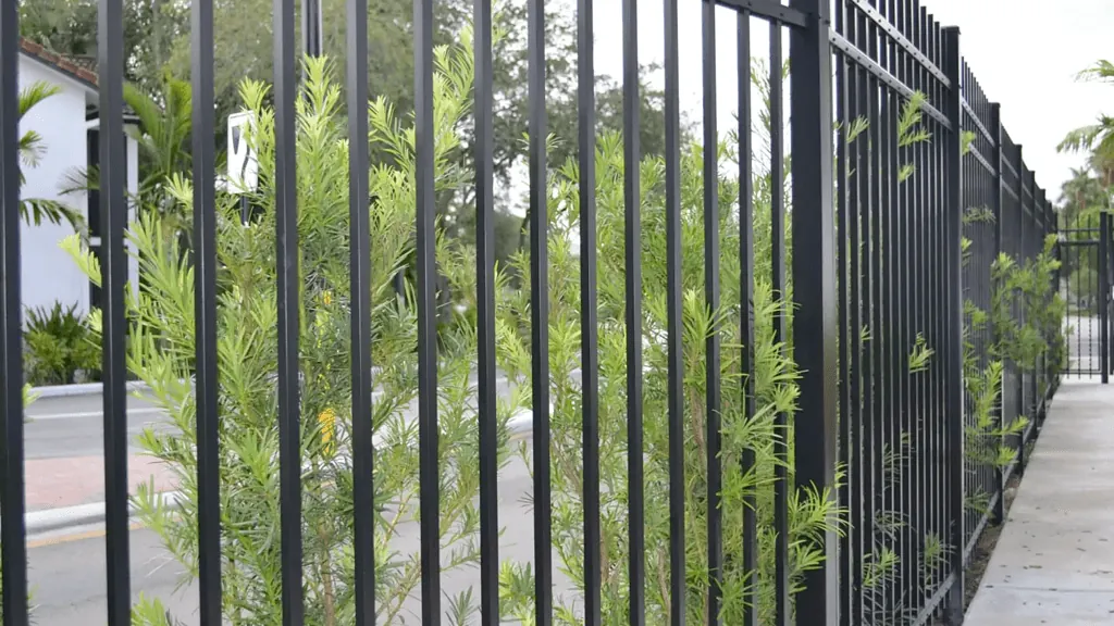 Picture of a black aluminum fence along a street with pretty plants.