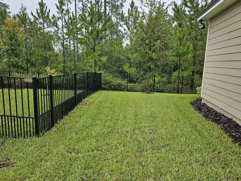 Backyard with black aluminum puppy fence.