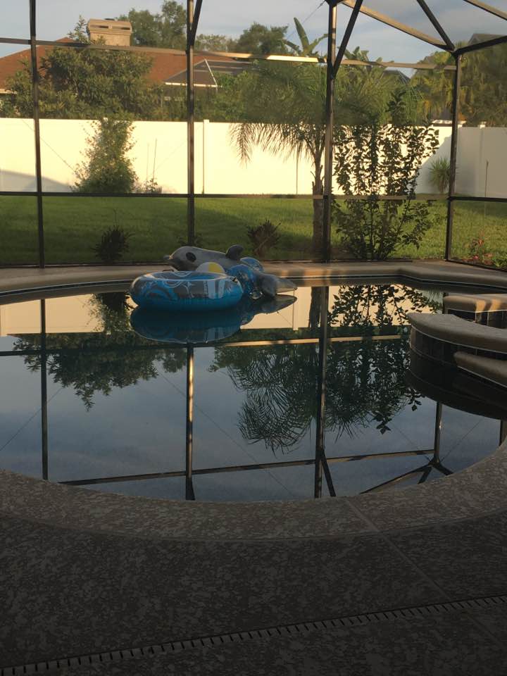Screened in backyard pool