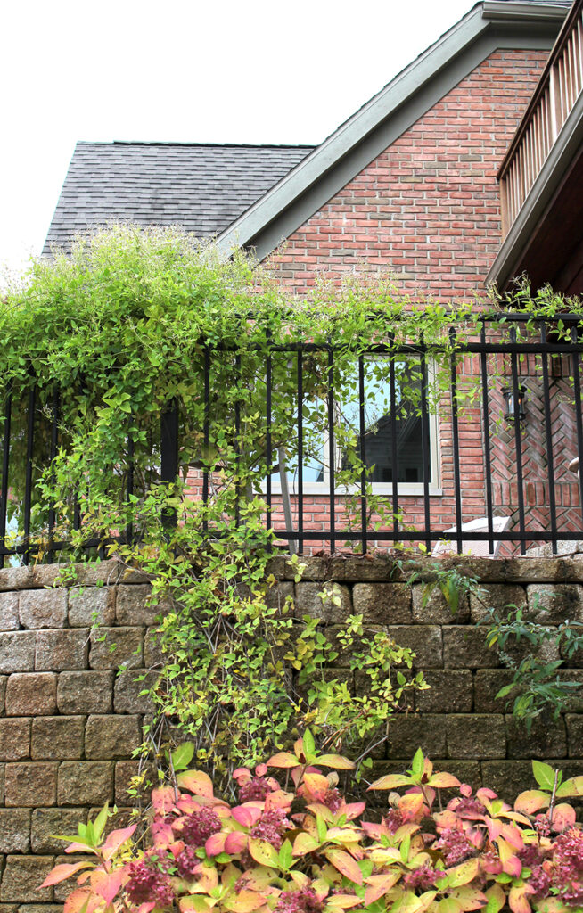 A garden in front of a brick buildingDescription automatically generated