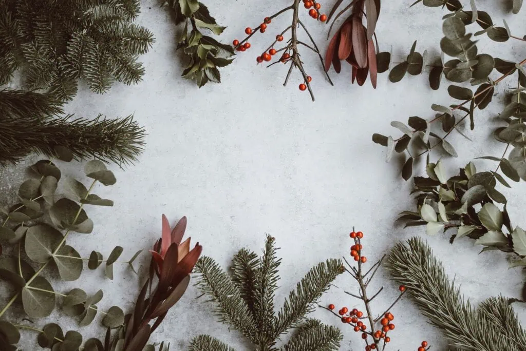 Natural greenery and berries that can be used to make a homemade wreath.