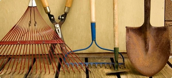 Picture of rakes and shovels