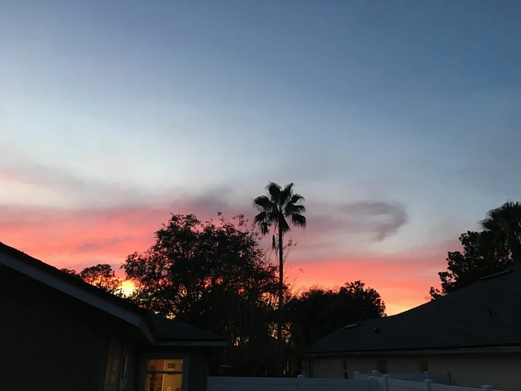 Backyard sunset view over houses.