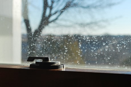 picture of a window